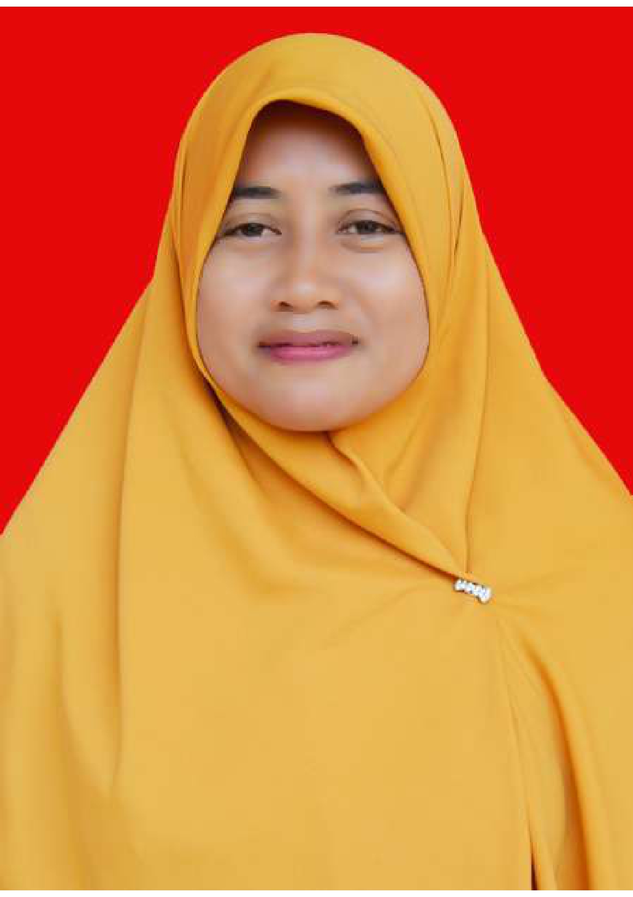 HAMIDA BAHARUDDIN